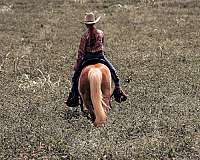 barrel-racing-pony
