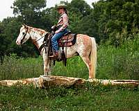 kid-safe-pony