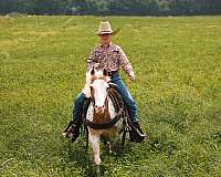 beginner-pony