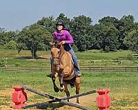 kid-safe-quarter-pony