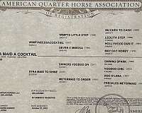 ranch-versatility-quarter-horse