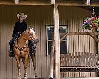 husband-safe-paint-horse