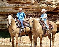 husband-safe-quarter-horse