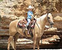 ranch-quarter-horse