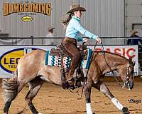 roping-quarter-horse