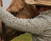 calf-roping-quarter-horse