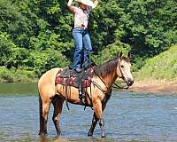 roping-quarter-horse