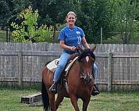 dakota-arabian-horse