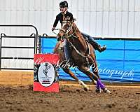 ridden-western-quarter-horse