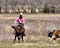 natural-horsemanship-training-paint-horse