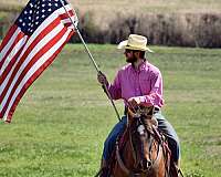 ranch-versatility-paint-horse