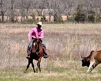 trail-paint-horse