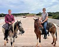 barrel-racing-quarter-horse