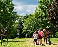 kid-safe-haflinger-horse