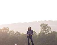 quarter-horse-for-sale