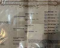 barrel-quarter-horse