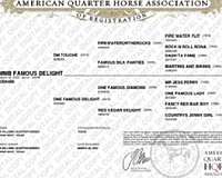 ranch-quarter-horse