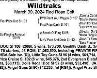 red-roan-steer-ropi-horse