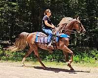 family-horse-kentucky-mountain