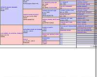 black-buckskin-morgan-colt-gelding