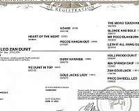 rawhides-dunit-quarter-horse