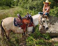flashy-miniature-pony