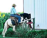 trail-pony