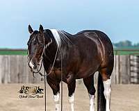 美品　BUFFALO BOBS BANDIT-HORSE　 BLACK Bandit - Platinum Equine Auction