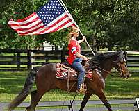 trail-riding-friesian-horse