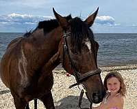 thoroughbred-mare