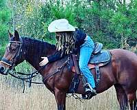 ridden-western-quarter-horse