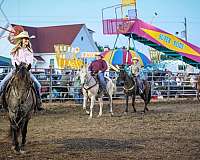 western-pony-mare