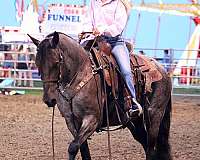 traffic-safe-pony-mare
