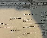 husband-safe-quarter-horse