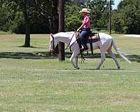 ranch-quarter-horse
