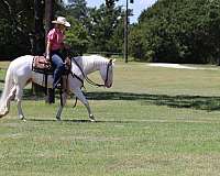 ranch-versatility-quarter-horse