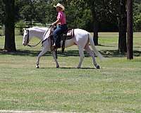 ranch-work-quarter-horse