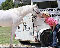 trail-riding-quarter-horse