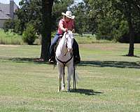 western-riding-quarter-horse