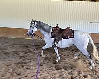 breeding-thoroughbred-horse