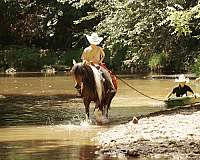 athletic-pony