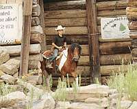 ranch-work-pony