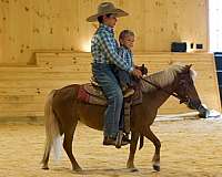 palomino-athletic-horse