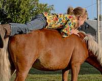 youth-miniature-horse