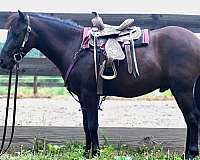 athletic-pony