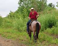 man-quarter-pony