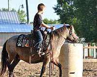 ability-poa-pony