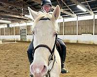 pony-mare