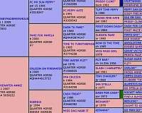 athletic-quarter-horse