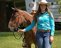 flashy-quarter-horse